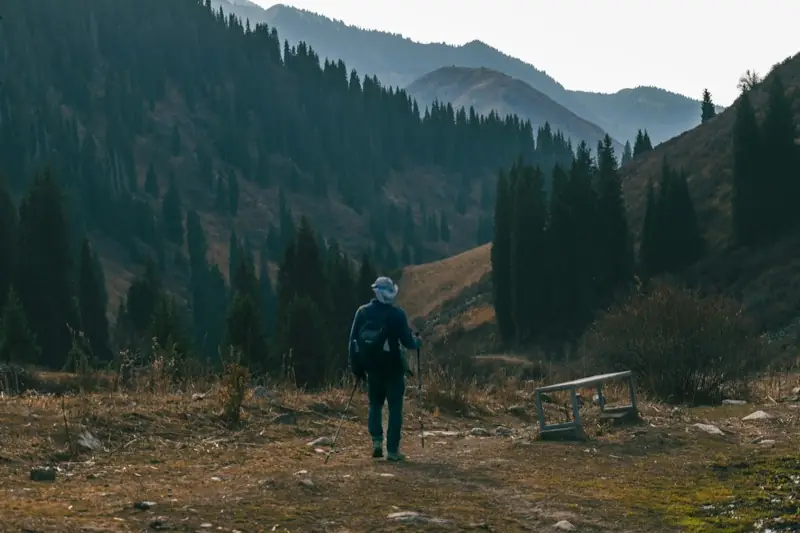 A man walking through a mountain valley among pine trees, away from the screens